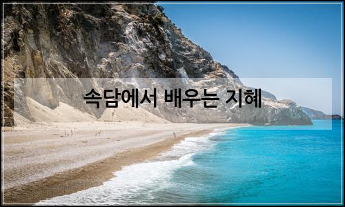 오늘의 이미지