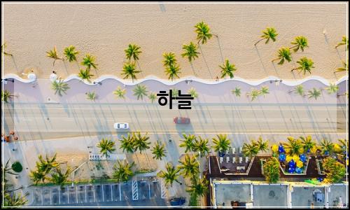오늘의 이미지