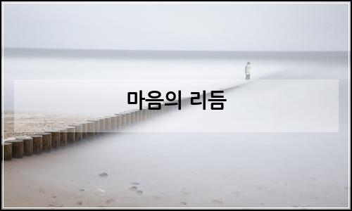 오늘의 이미지