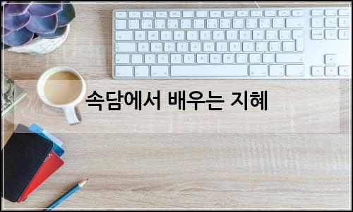 오늘의 이미지