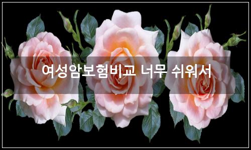 오늘의 이미지