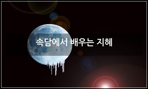 오늘의 이미지