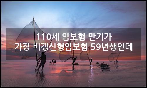 오늘의 이미지