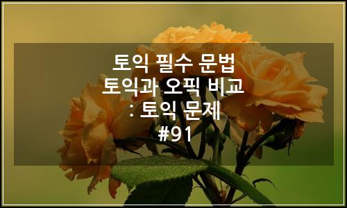 오늘의 이미지