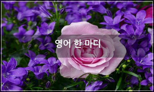 오늘의 이미지