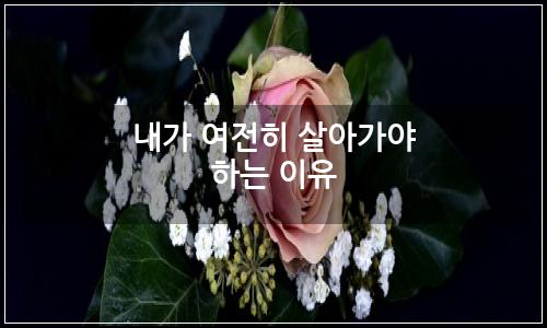 오늘의 이미지