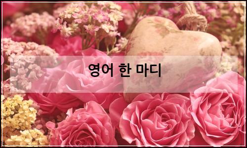 오늘의 이미지
