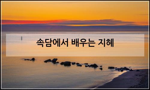오늘의 이미지