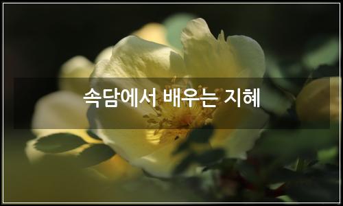 오늘의 이미지