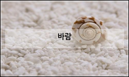 오늘의 이미지