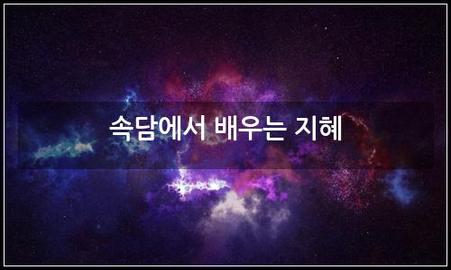 오늘의 이미지