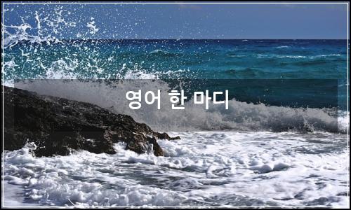 오늘의 이미지