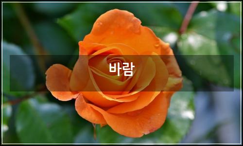 오늘의 이미지