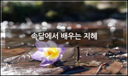 오늘의 이미지