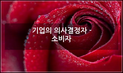 오늘의 이미지