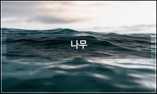 오늘의 이미지