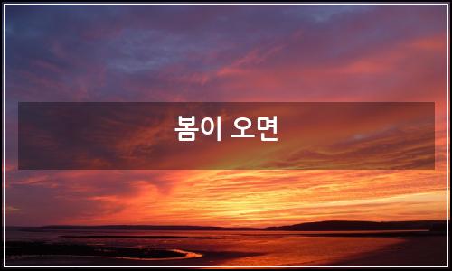 오늘의 이미지