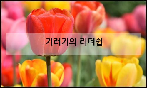 오늘의 이미지