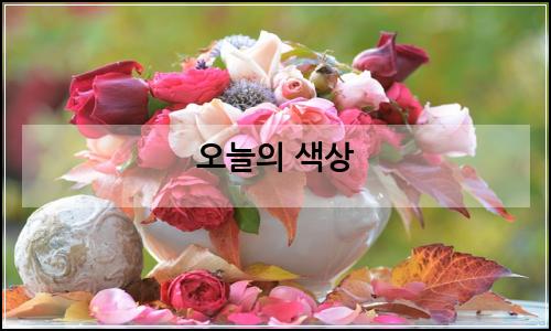오늘의 이미지
