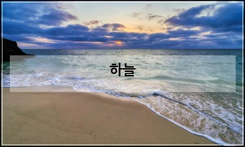 오늘의 이미지