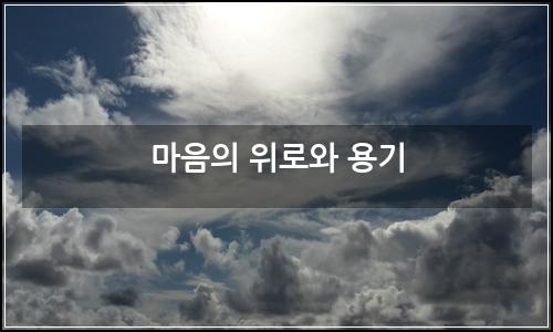 오늘의 이미지