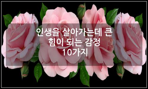 오늘의 이미지