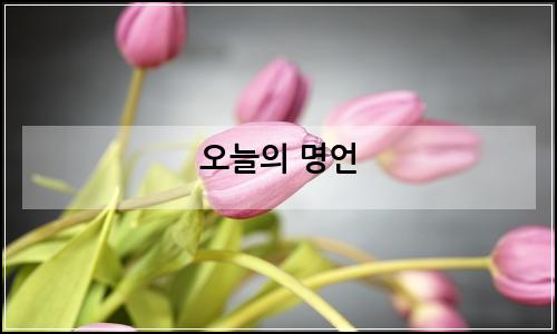 오늘의 이미지