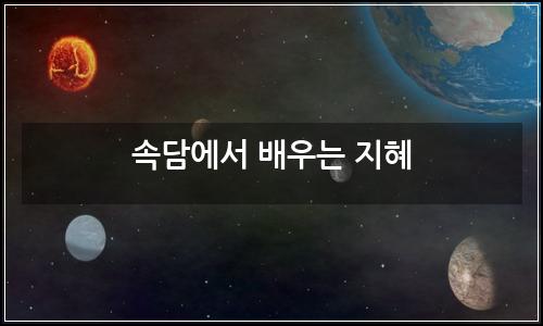 오늘의 이미지