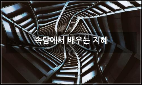 오늘의 이미지
