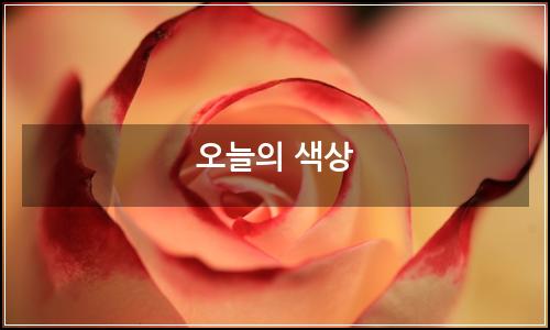 오늘의 이미지