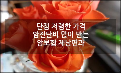 오늘의 이미지
