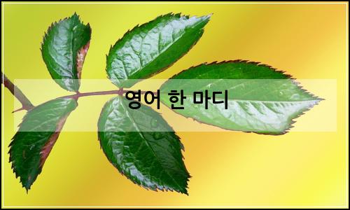 오늘의 이미지