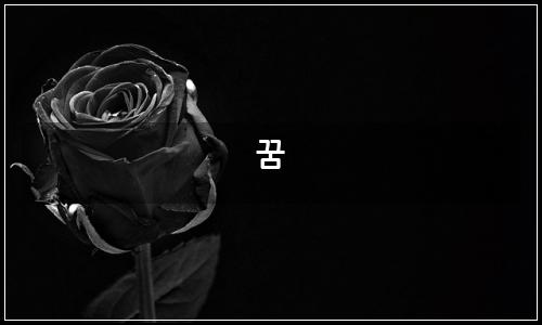 오늘의 이미지