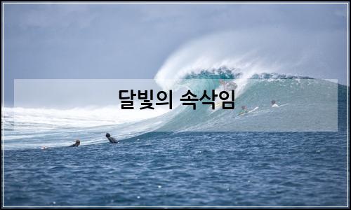 오늘의 이미지