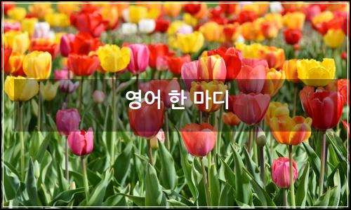 오늘의 이미지