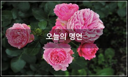 오늘의 이미지