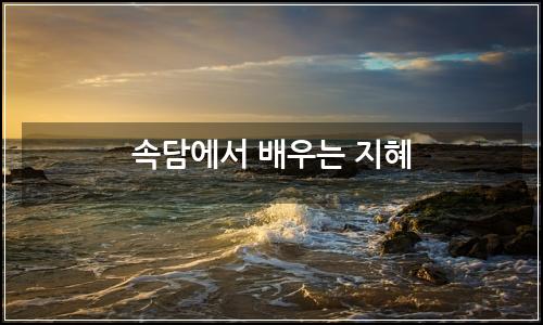 오늘의 이미지