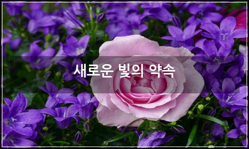 오늘의 이미지