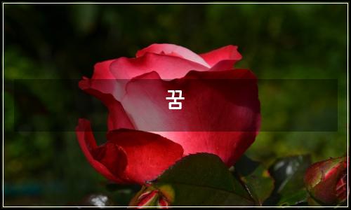 오늘의 이미지