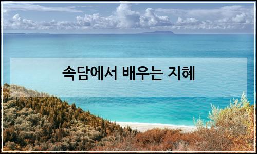 오늘의 이미지