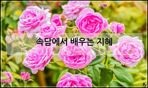 오늘의 이미지