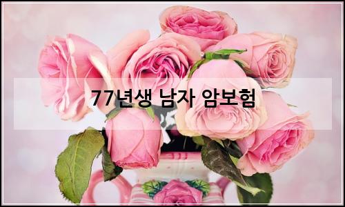 오늘의 이미지
