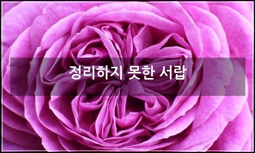 오늘의 이미지