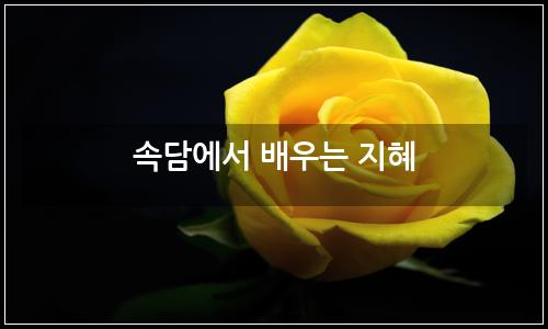 오늘의 이미지