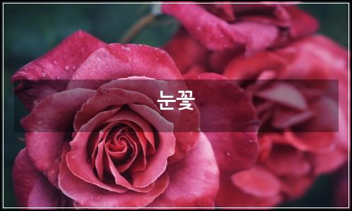 오늘의 이미지