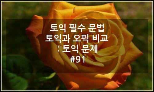 오늘의 이미지