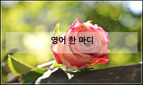 오늘의 이미지