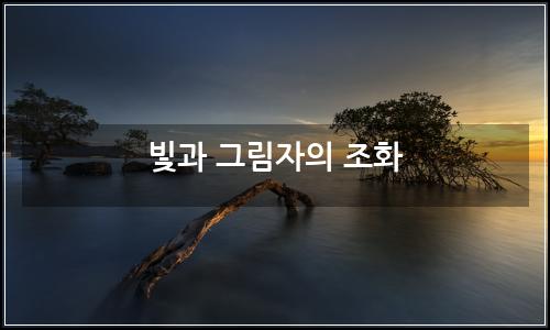 오늘의 이미지