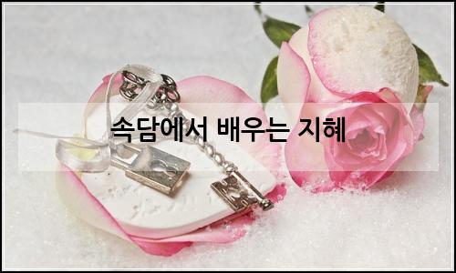 오늘의 이미지