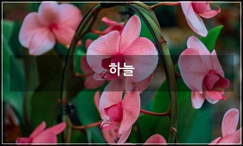 오늘의 이미지